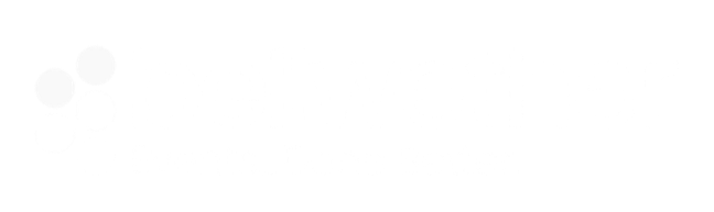bellwether bellwether